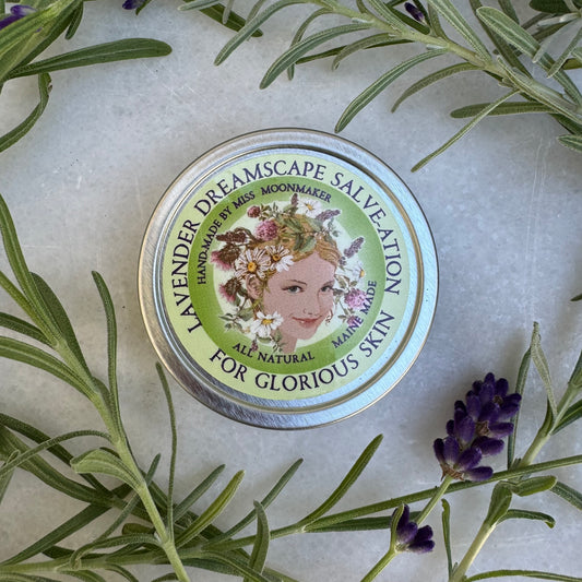 Lavender Dreamscape Salve-ation